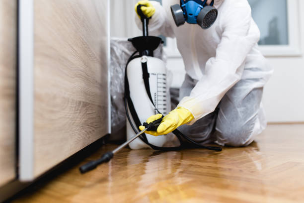 Professional Pest Control in Irrigon, OR