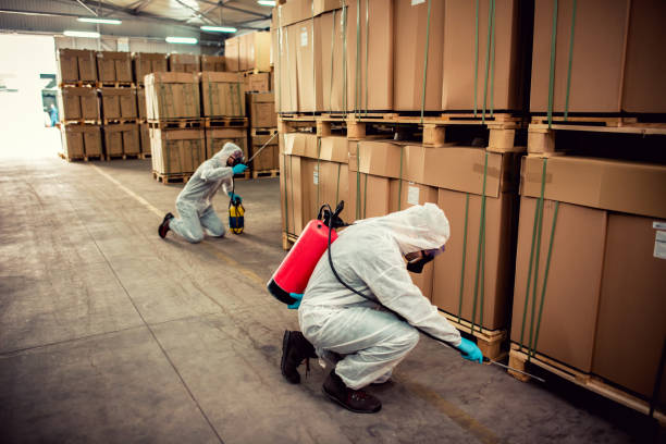 Best Wasp Removal Services  in Irrigon, OR