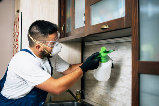 Best Rat Extermination Near Me  in Irrigon, OR