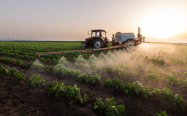 Best Exterminator Services  in Irrigon, OR