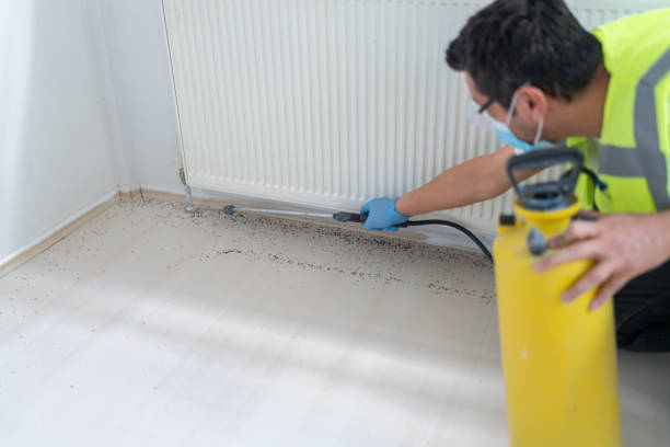 Best Pest Control Near Me  in Irrigon, OR