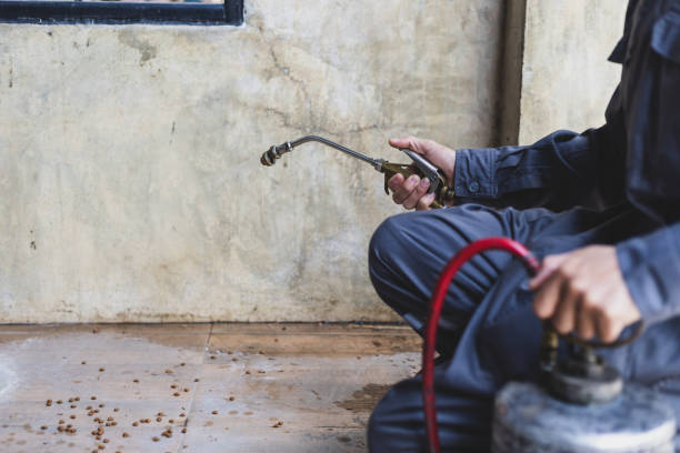 Best Pest Control for Homes  in Irrigon, OR